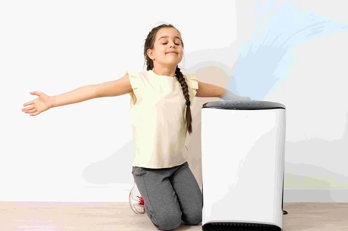 Top 5 Air Purifiers in the World, Expert Review