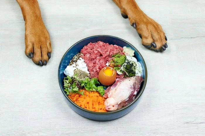 Top 5 Healthy Dog Food Toppers to Boost Your Dog’s Health