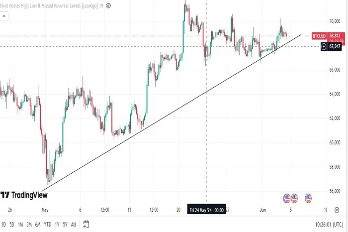 What are the 5 Best Crypto to Invest in 2024?